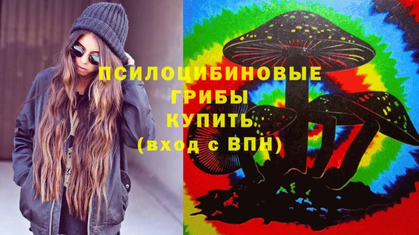 2c-b Армянск