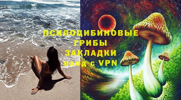 мет Арсеньев