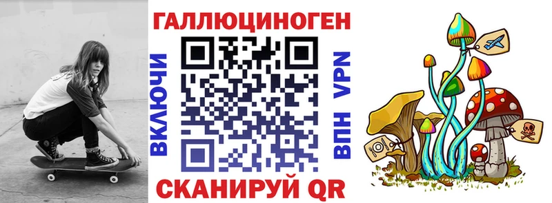 маркетплейс какой сайт  Краснослободск  Псилоцибиновые грибы Magic Shrooms  купить наркотики цена 