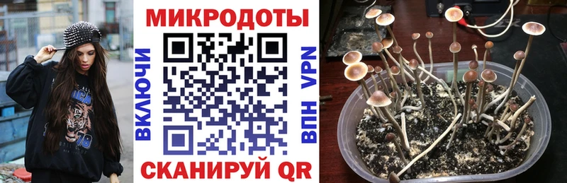 Псилоцибиновые грибы прущие грибы Краснослободск