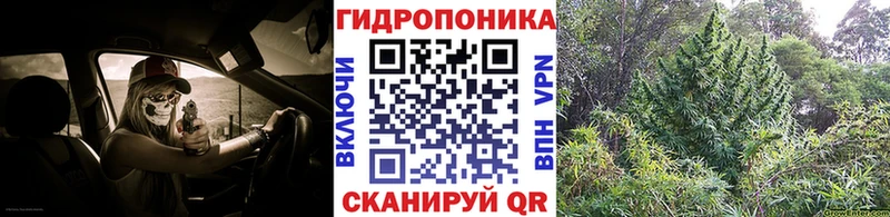 Каннабис планчик  наркотики  Краснослободск 